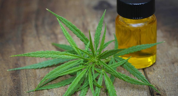 cbd oil for pain
